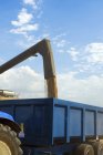 Harvested grain being loaded onto a trailer — Stock Photo