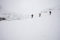 Tres esquiadores subiendo una cresta - foto de stock