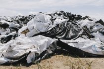Saco plástico descartado preto e branco — Fotografia de Stock