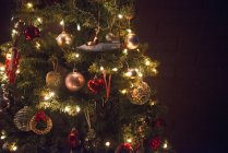 Weihnachtsbaum mit Lichtern geschmückt. — Stockfoto