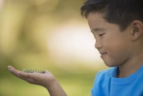 Мальчик, держащий гусеницу — стоковое фото