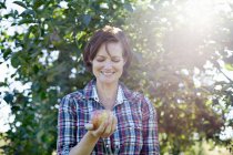 Женщина держит свежее собранное яблоко — стоковое фото