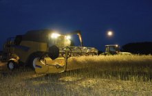 Combine harvester and grain trailer working — Stock Photo