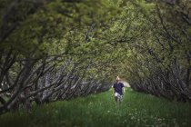 Ребенок бежит вдоль дуги ветвей дерева — стоковое фото