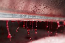 Prensa de uva com gotas de suco prensado fresco — Fotografia de Stock