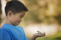 Хлопчик тримає жабу — стокове фото