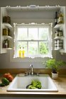 Küchenfenster mit Regalen und traditioneller Spüle — Stockfoto