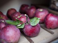 Äpfel in Reihen gelagert — Stockfoto