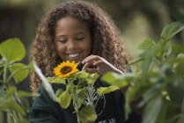 Mädchen untersucht eine Sonnenblumenpflanze — Stockfoto