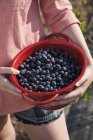 Girl holding harvested blueberry fruits. — Stock Photo