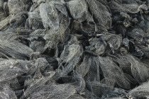 Nets used for shellfish aquaculture — Stock Photo