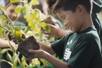 Crianças aprendendo sobre plantas e flores — Fotografia de Stock