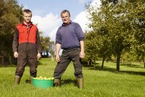 Padre e hijo cosechando manzanas de sidra - foto de stock