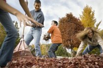 Família raking folhas caídas — Fotografia de Stock