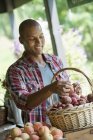Man sorting beetroot in a basket — Stock Photo