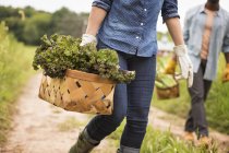 Frau mit einer Handvoll frischem Gemüse — Stockfoto