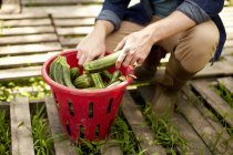 Mann sortiert frisch gepflücktes Gemüse — Stockfoto
