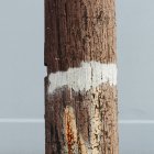 Деревянный телефонный полюс — стоковое фото