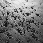 Sabbia bagnata e rocce — Foto stock