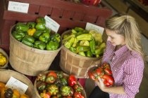 Woman sorting different types of peppers — Stock Photo