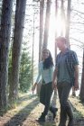 Casal andando à sombra de pinheiros — Fotografia de Stock