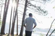 Man standing in the shade of pine trees — Stock Photo