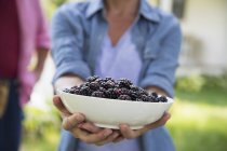Woman holding out a bowl of blackberries — Stock Photo