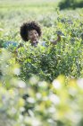 Woman picking fresh blueberries — Stock Photo