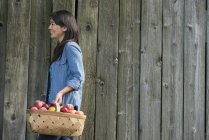 Mujer con cesta de fruta recién recogida . - foto de stock
