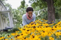Женщина в саду с органическими цветами . — стоковое фото