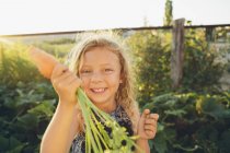 Дівчина тримає свіжу підібрану моркву — стокове фото