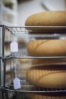 Large wheels of cheese maturing. — Stock Photo