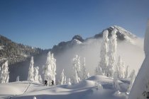Excursionistas en medio del invierno en la nieve - foto de stock