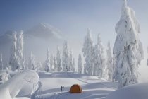 Tente orange se trouve sur la crête enneigée — Photo de stock