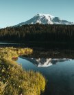 Parque Nacional Monte Rainier - foto de stock
