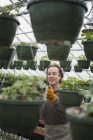 Man in a glasshouse planting containers. — Stock Photo