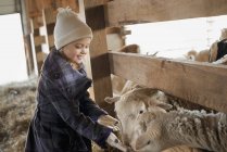 Child in the animal shed — Stock Photo