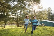 Bambini che corrono in un paddock — Foto stock
