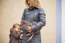 Donna che tiene il pollo — Foto stock