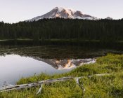 Mount Rainier national park — Stock Photo