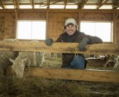 Agricultor e ovelhas em uma caneta . — Fotografia de Stock