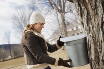 Woman tapping sap from tree. — Stock Photo