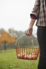 Woman carrying basket of eggs — Stock Photo