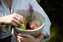 Femme tenant bol avec pommes cueillies — Photo de stock