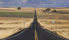 Прямая сельская дорога — стоковое фото