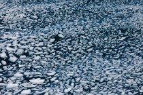 Ice chunks afloat — Stock Photo