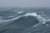 Seas near South Georgia island — Stock Photo