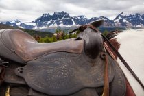 Sella a cavallo, Canada — Foto stock