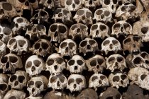Skulls arranged in a head — Stock Photo