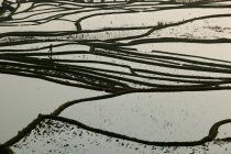 Рисовые поля с террасами, Китай
. — стоковое фото